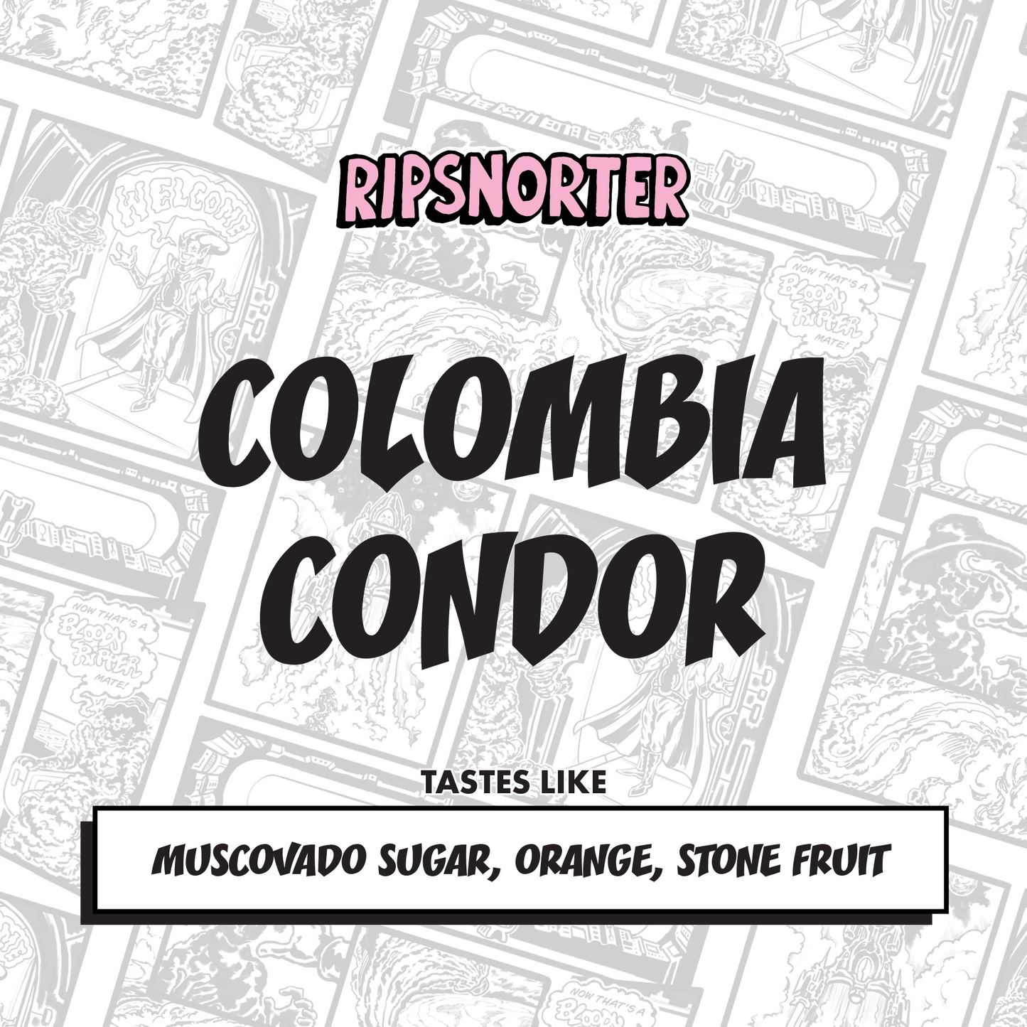 CONDOR PROJECT | WASHED