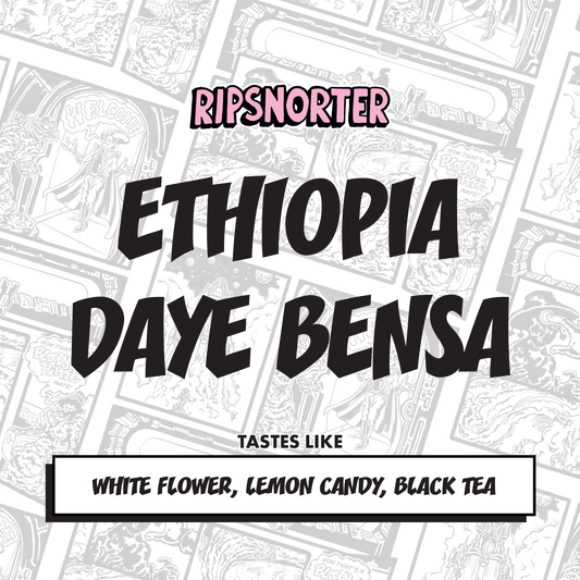 DAYE BENSA | WASHED