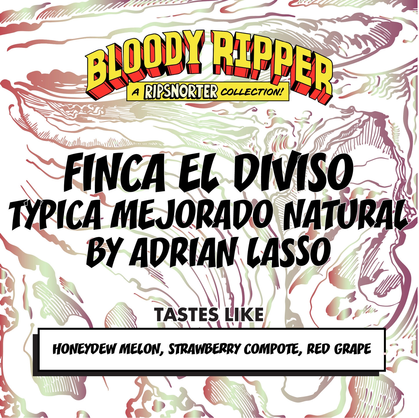 FINCA EL DIVISO | TYPICA MEJORADO NATURAL by ADRIAN LASSO