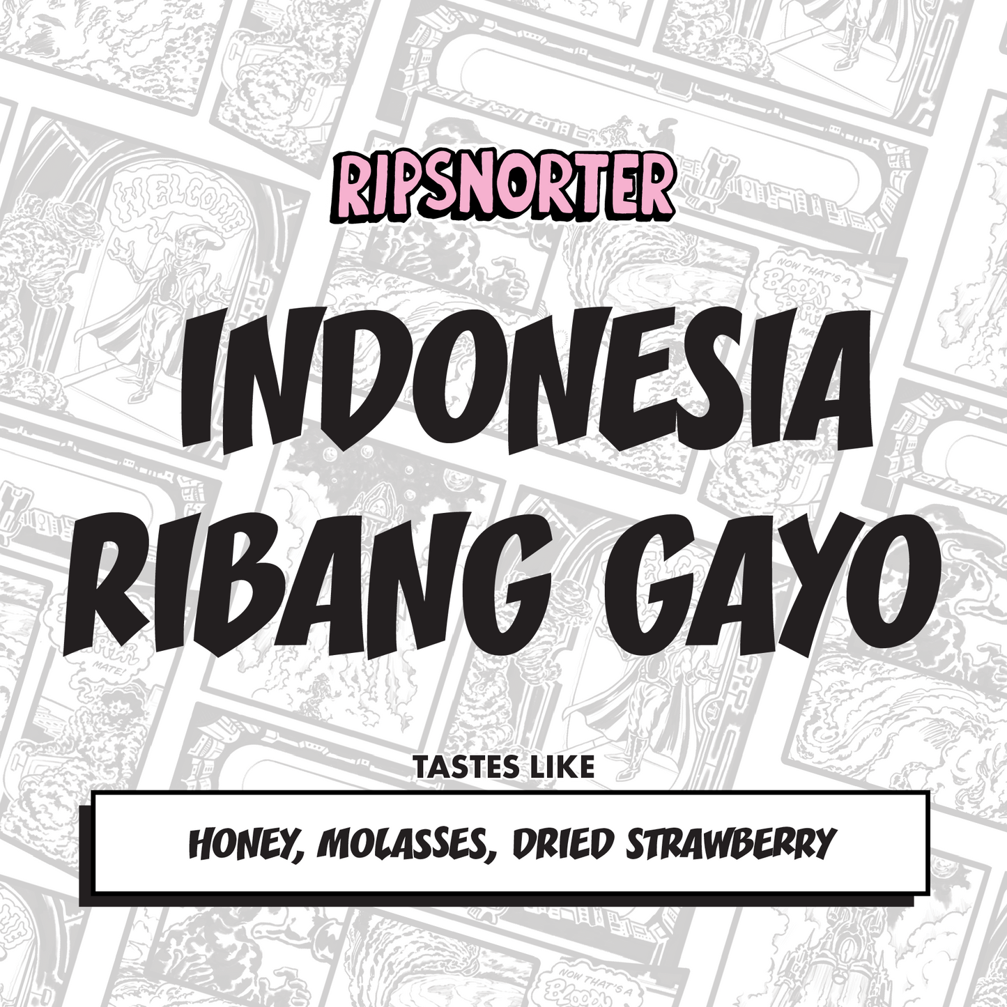 RIBANG GAYO | INDONESIA NATURAL