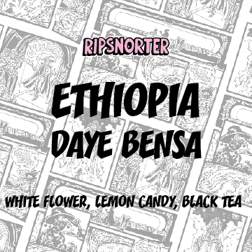 DAYE BENSA | WASHED
