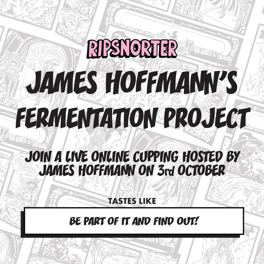 [PRE ORDER] JAMES HOFFMANN'S FERMENTATION PROJECT TASTING BOX