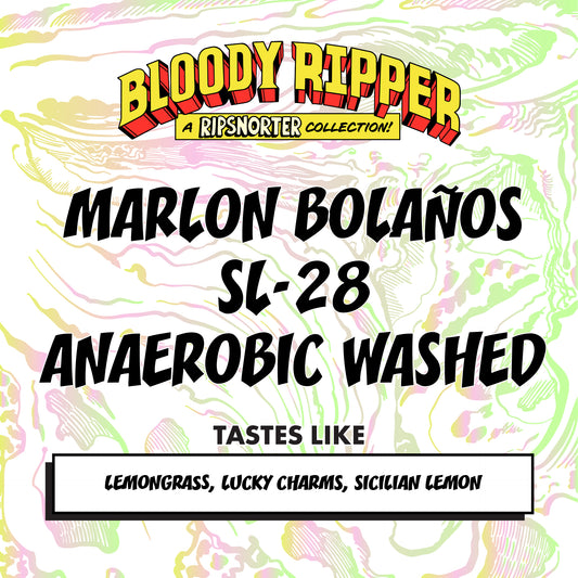 MARLON BOLAÑOS | ANAERBOBIC WASHED SL-28