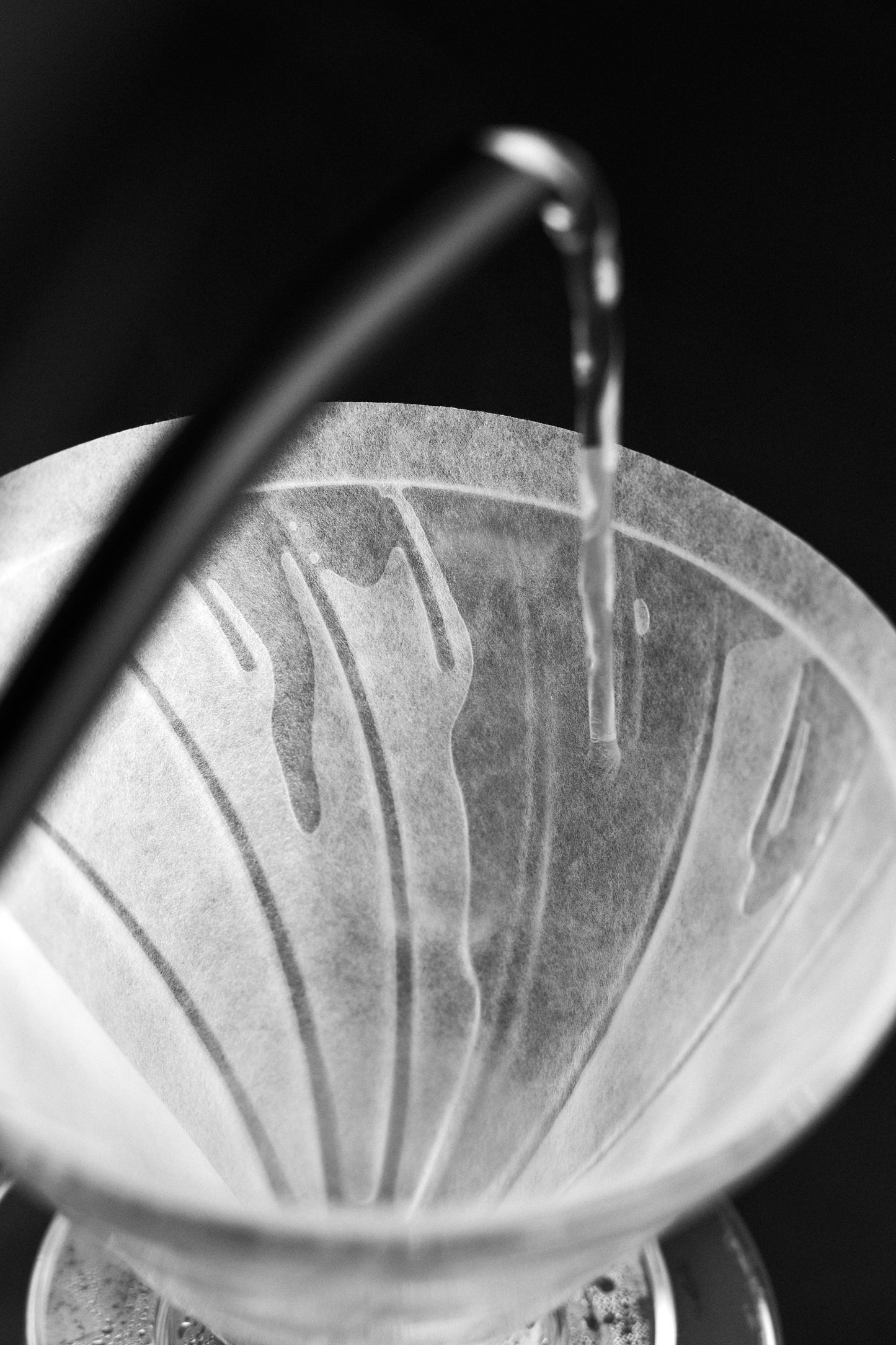 SIBARIST | FAST CONE FILTERS